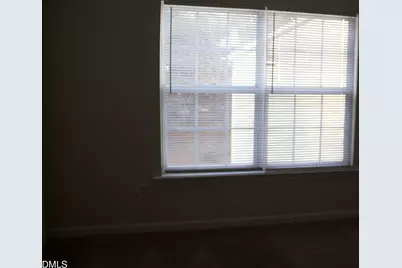 6005 Namozine Court, Raleigh, NC 27610 - Photo 20