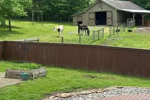 291 Meadow View Dr, Moncure, NC 27559 - Photo 46