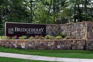 216 Diamond Bluff Ln, Holly Springs, NC 27540 - Photo 20