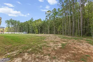 507 E Clydes Pt Wy, Wendell, NC 27591 - Photo 56