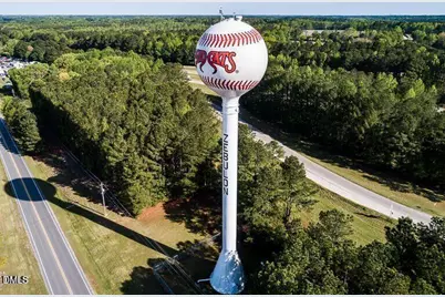 326 Sweetbay Tree Drive, Wendell, NC 27591 - Photo 30