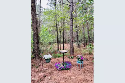 0 S Plank Road #Track 2, Sanford, NC 27330 - Photo 8