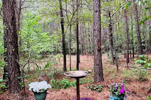 0 S Plank Rd, Sanford, NC 27330 - Photo 8