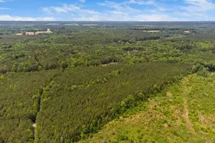 0 S Plank Rd, Sanford, NC 27330 - Photo 32