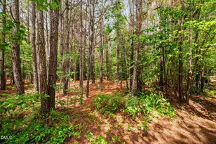 0 S Plank Rd, Sanford, NC 27330 - Photo 14