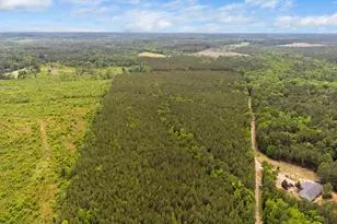 0 S Plank Rd, Sanford, NC 27330 - Photo 34