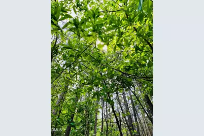 0 S Plank Road #Track 2, Sanford, NC 27330 - Photo 12