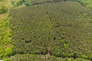 0 S Plank Rd, Sanford, NC 27330 - Photo 30