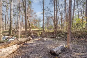 11 Buckhorn Ln, Clayton, NC 27527 - Photo 32