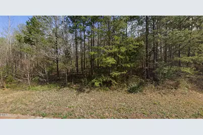 7411 Birchbend Lane, Lewisville, NC 27023 - Photo 1