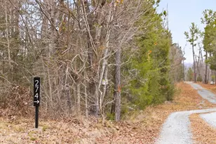 274 Powers Country Ln, Bennett, NC 27208 - Photo 62