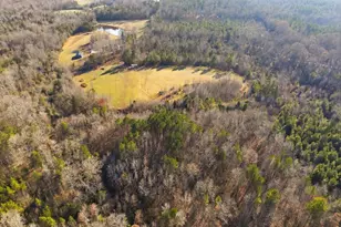 274 Powers Country Ln, Bennett, NC 27208 - Photo 58