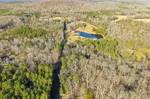 274 Powers Country Ln, Bennett, NC 27208 - Photo 56