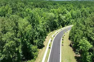 163 Starlight St, Sanford, NC 27330 - Photo 38