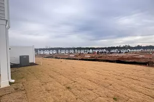 163 Starlight St, Sanford, NC 27330 - Photo 52