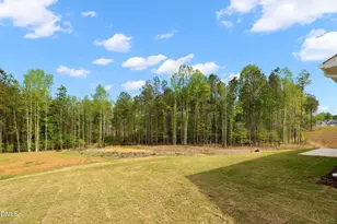 74 S Blue Sly Trl, Selma, NC 27576 - Photo 20