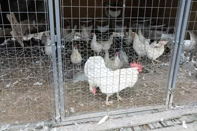 7117 Sunset Lake Road, Fuquay Varina, NC 27526 - Photo 40