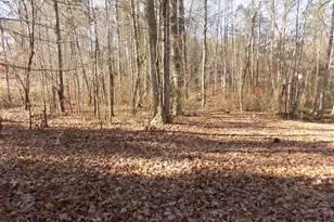 130 Buck Ridge Rd, Louisburg, NC 27549 - Photo 6