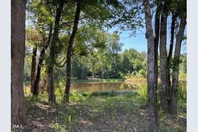 183 Cardovia Way, Wendell, NC 27591 - Photo 26