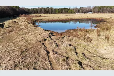 8370 Siler City Glendon Road, Bear Creek, NC 27207 - Photo 4