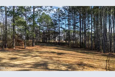 367 Gianna Drive, Clayton, NC 27527 - Photo 48