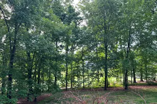 7824 Hardwick Dr, Raleigh, NC 27615 - Photo 6