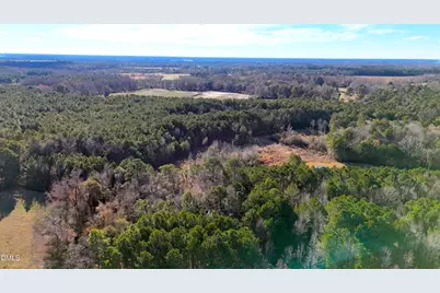 Lot 2 Old Nc 903 Highway, Kenansville, NC 28349 - Photo 12