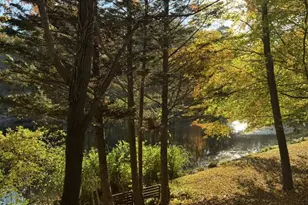 101 Highlands Lake Dr, Cary, NC 27518 - Photo 28