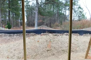 705 Ahad Ct, Apex, NC 27523 - Photo 8