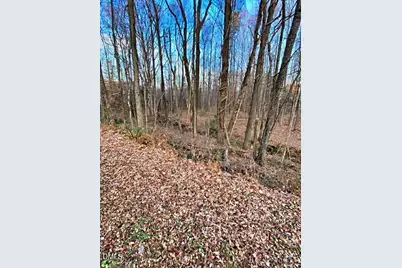 00 Gravitte Road, Roxboro, NC 27573 - Photo 4