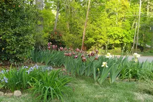 4109 Glen Laurel Dr, Raleigh, NC 27612 - Photo 50