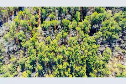 00 Overhills Road, Spring Lake, NC 28390 - Photo 20