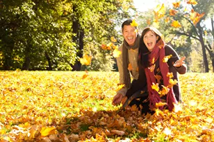 620 Hedrick Rdg Rd, Cary, NC 27519 - Photo 38