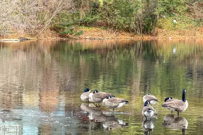 5118 Flint Ridge Place, Raleigh, NC 27609 - Photo 16
