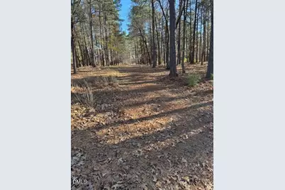 147 Sherwood Lane, Sanford, NC 27332 - Photo 30