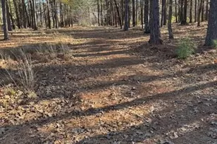 147 Sherwood Ln, Sanford, NC 27332 - Photo 30