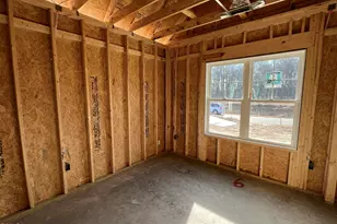 311 Creeks Edge Dr, Pikeville, NC 27863 - Photo 10