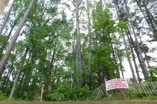 2542 Vining Br Wy, Apex, NC 27523 - Photo 80