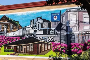 10 Charlie Cir, Angier, NC 27501 - Photo 30