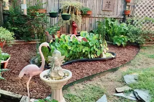 500 N Gulf St, Sanford, NC 27330 - Photo 12