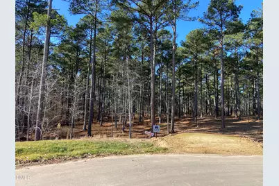 8917 Morning Song Court, New Hill, NC 27562 - Photo 2