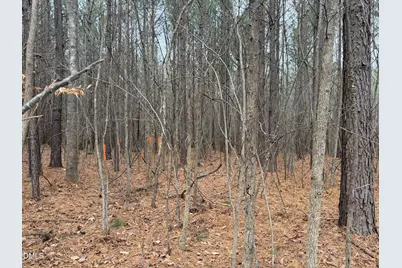 1652 Garrett Farm Road, Stem, NC 27581 - Photo 2