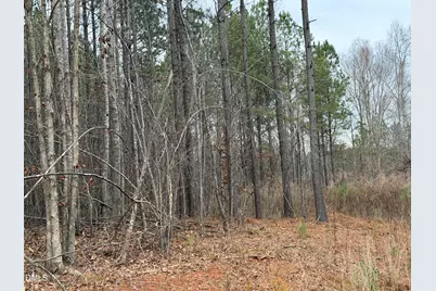 1652 Garrett Farm Road, Stem, NC 27581 - Photo 6