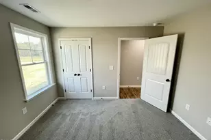 177 Grace Pond Ave, Benson, NC 27504 - Photo 16