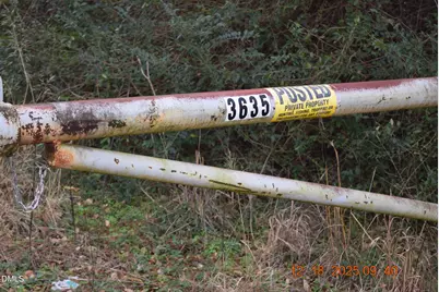 3635 S U.S. 117 Alternate Highway, Brogden, NC 28333 - Photo 4