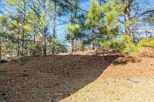 524 Texanna Way, Holly Springs, NC 27540 - Photo 8