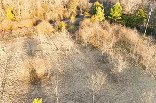 436 Hanner Town Rd, Bear Creek, NC 27207 - Photo 26