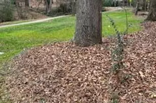 104 Bonnell, Cary, NC 27511 - Photo 18