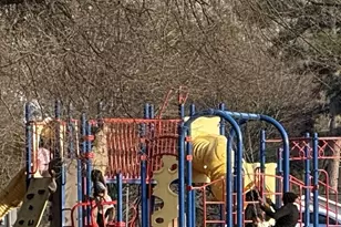 4822 Parkville Dr, Raleigh, NC 27604 - Photo 34