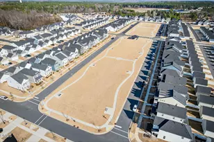 253 Buckhorn Br Pk, Clayton, NC 27520 - Photo 48